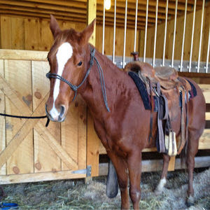 Meet your Posher, Stacy